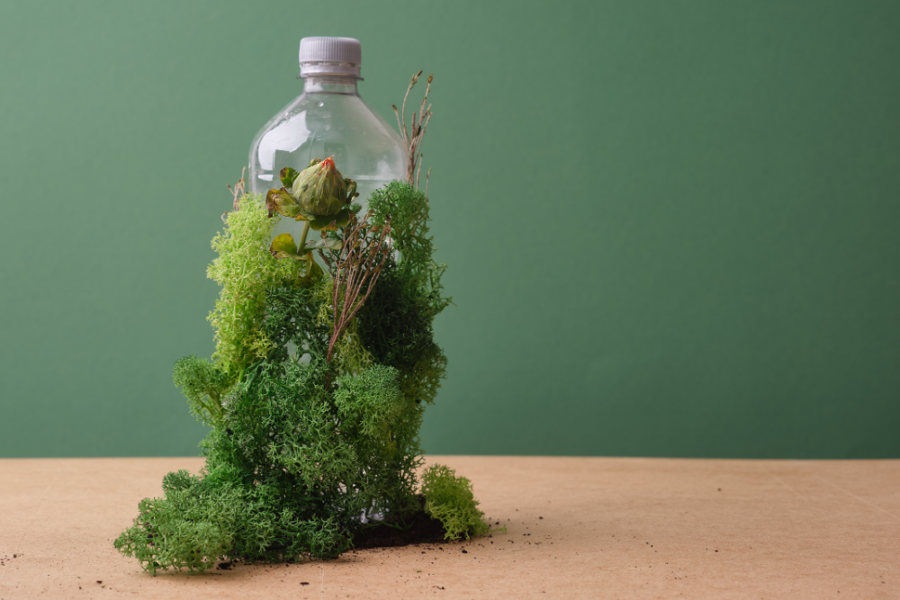 Butelka porośnięta mchem