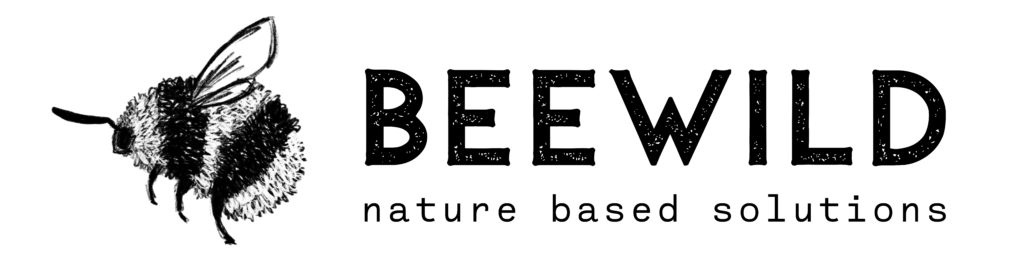 Beewild — nature based solutions